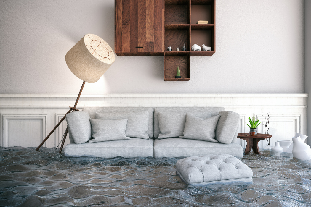 Basement Flood Cleanup (2)