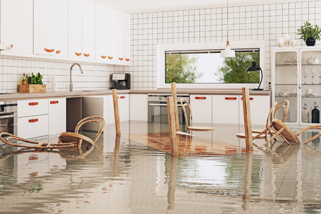 Basement Flood Cleanup (4)