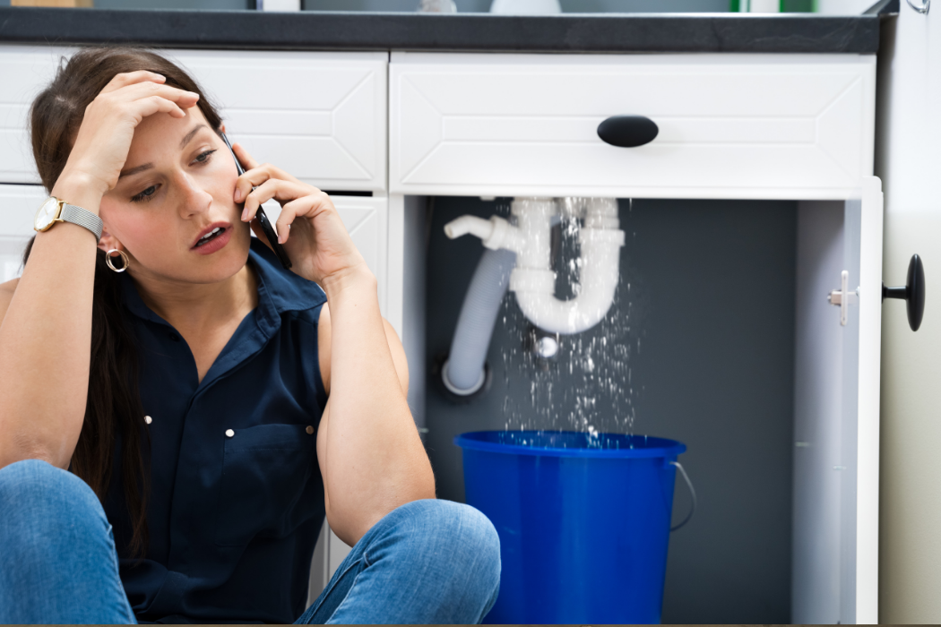 Basement Flood Cleanup (7)