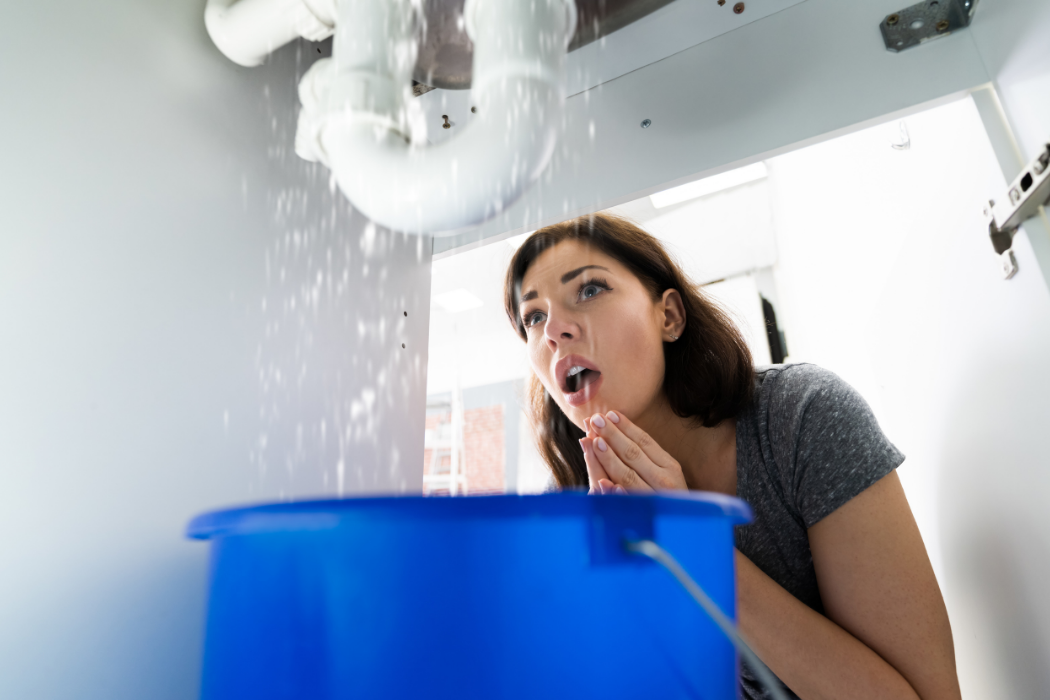 Basement Flood Cleanup (9)