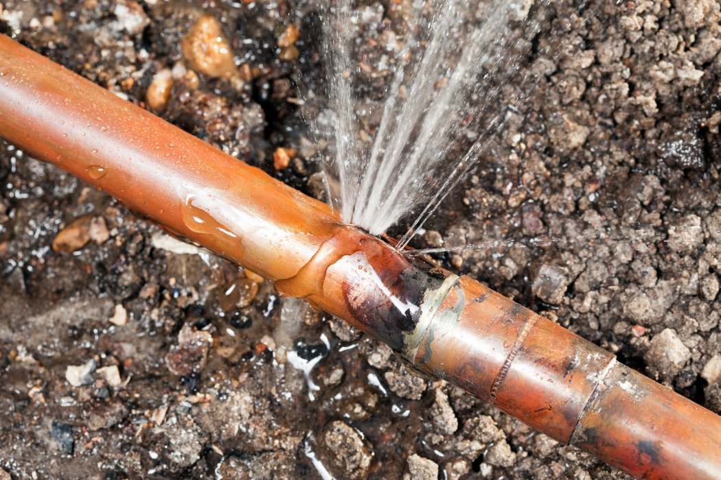 debridge services images (36)