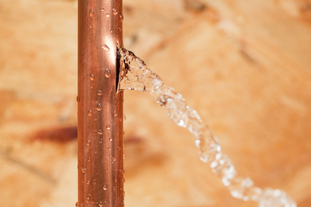 debridge services images (37)