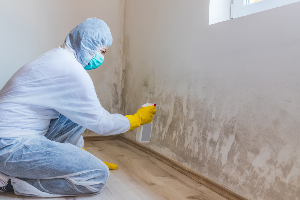 debridge services images (38)