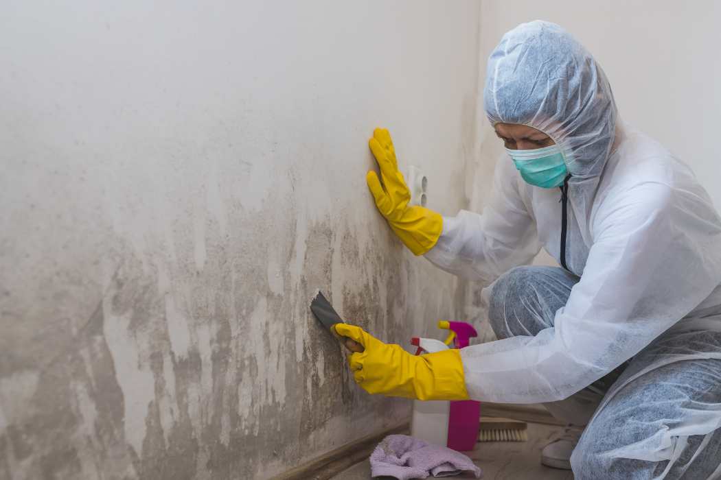 debridge services images (39)