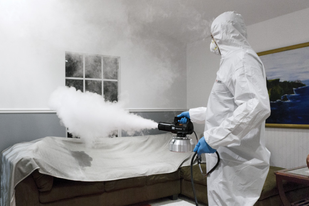 debridge services images (46)