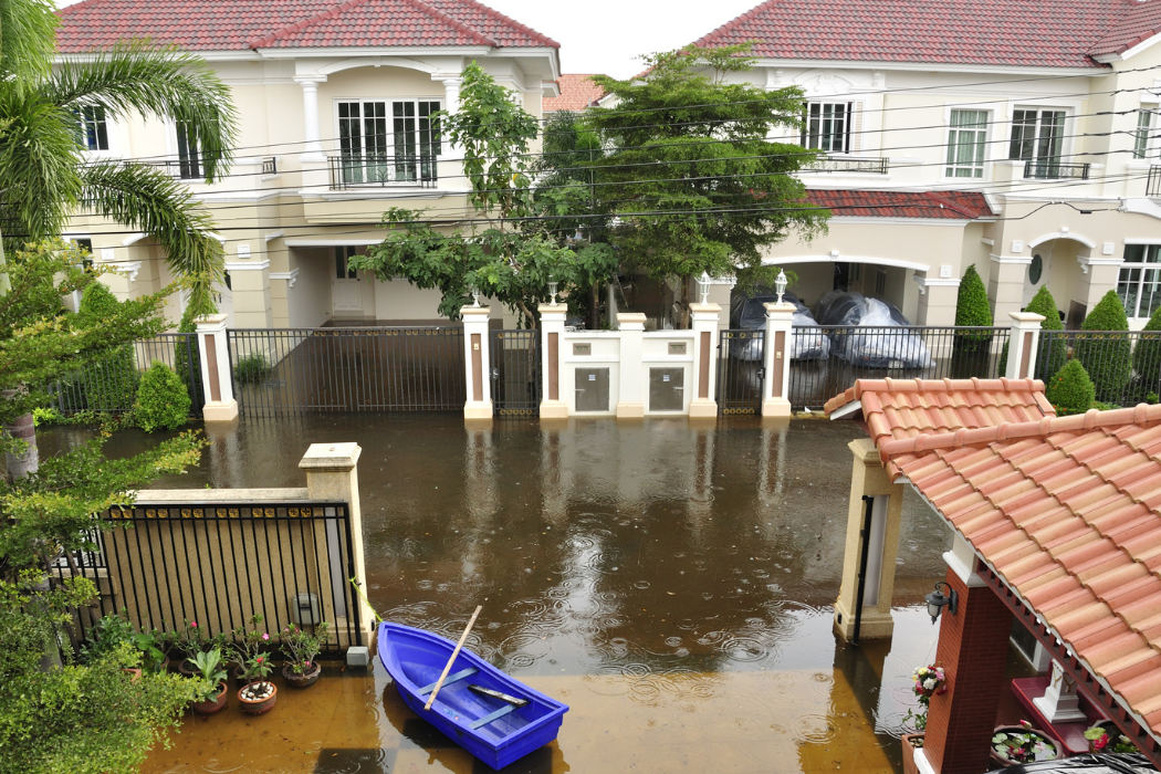 debridge services images (57)