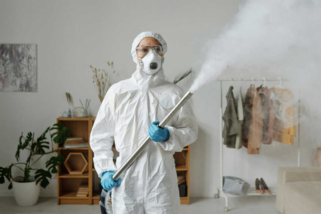 debridge services images (69)