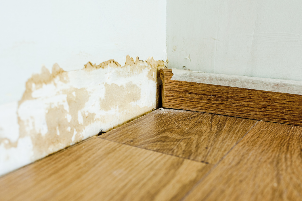 debridge services images (78)