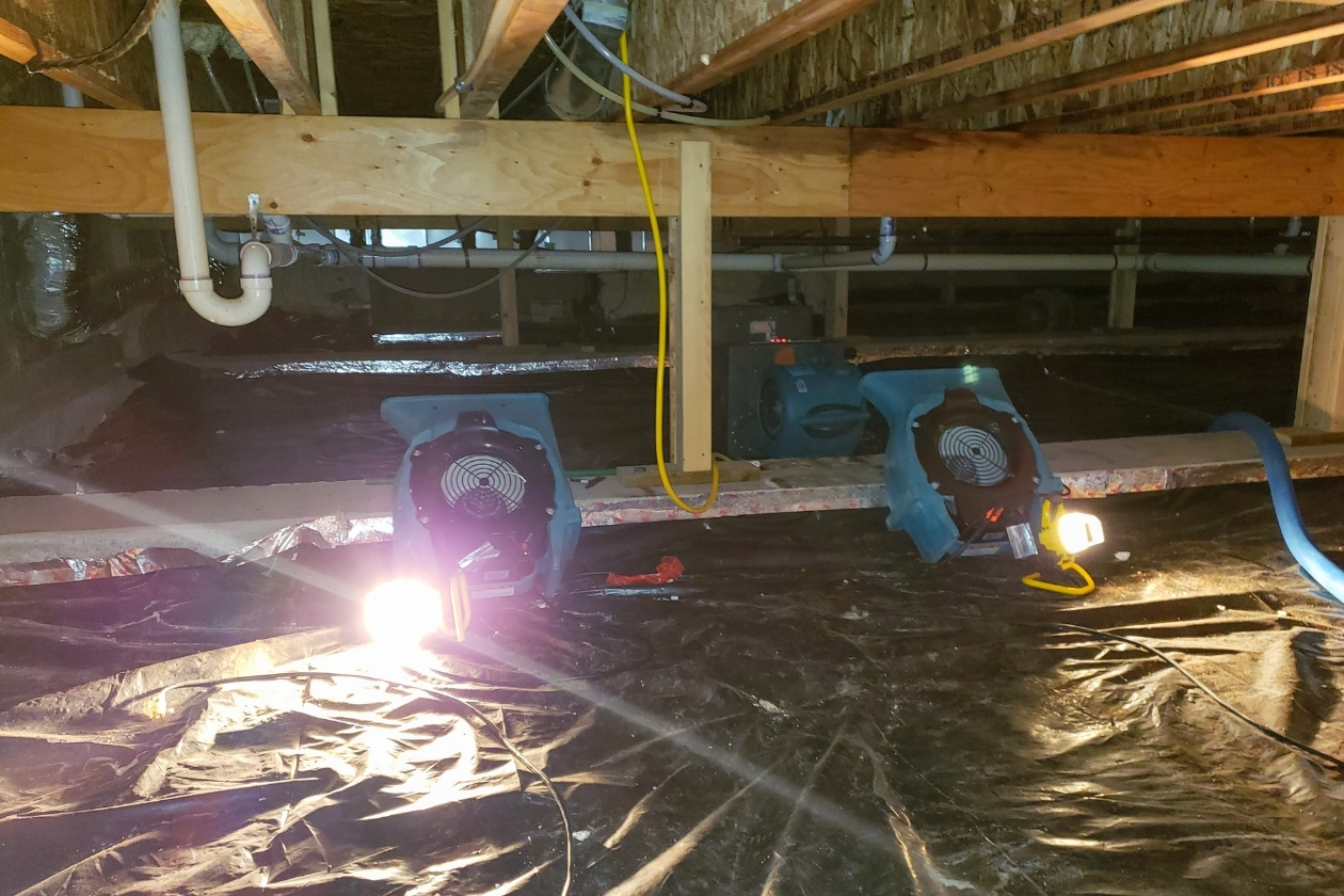 debridge services images (79)