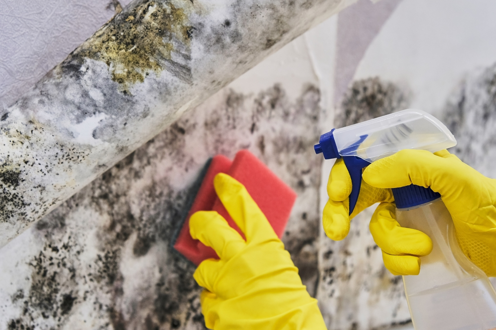 debridge services images