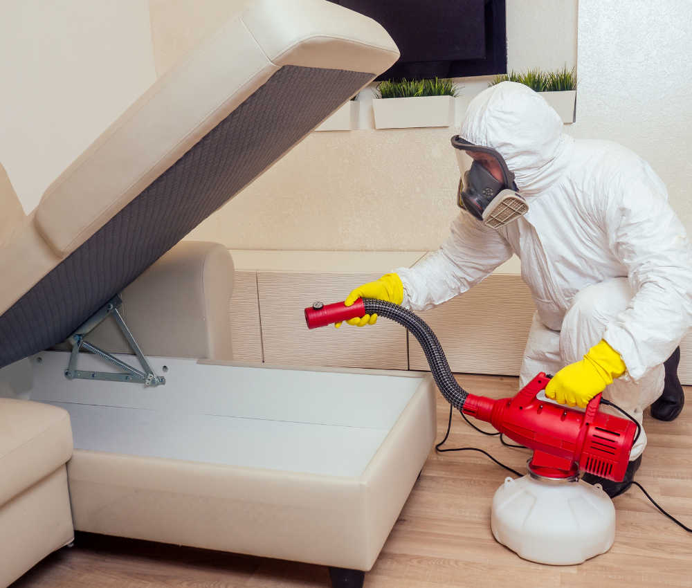 sub-service-image (3)