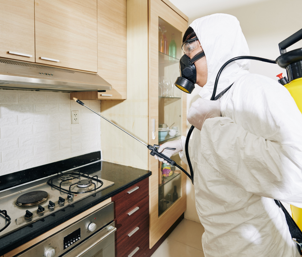 sub-service-image (4)