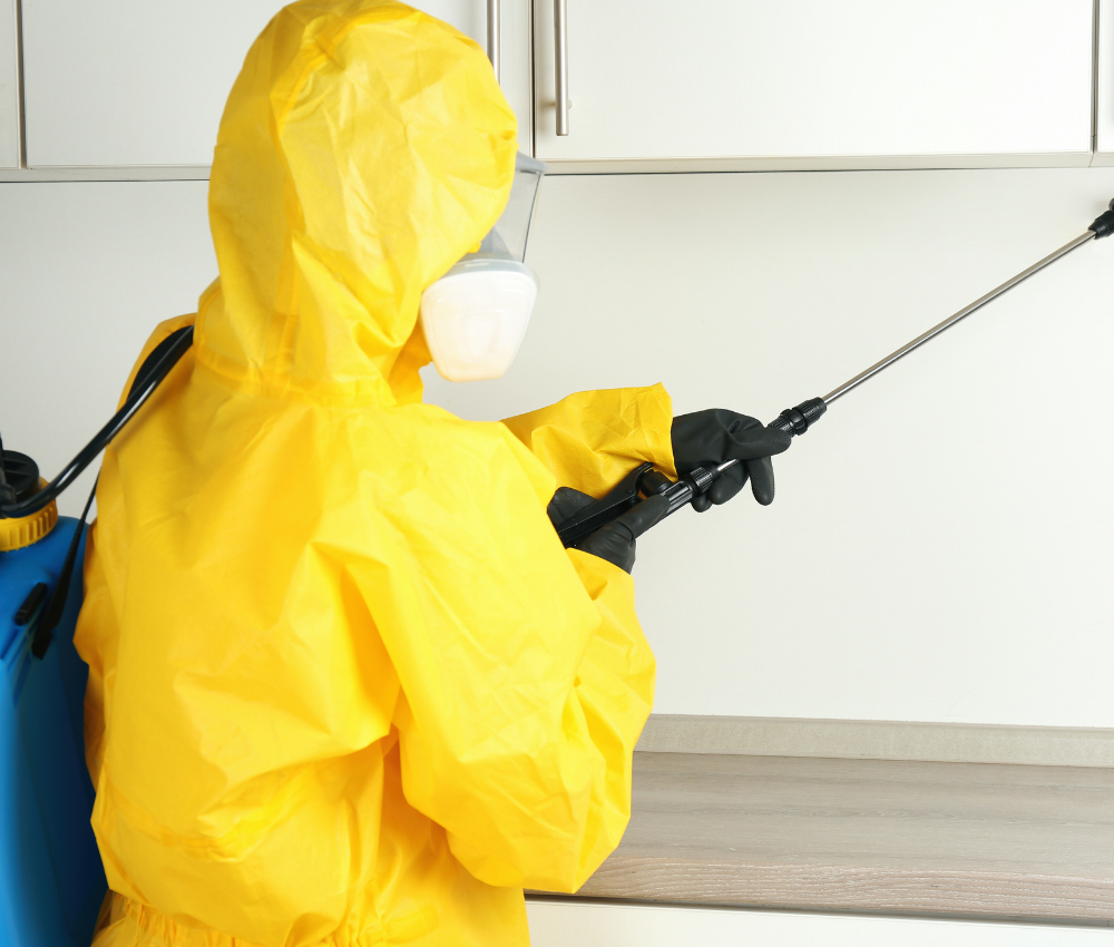 sub-service-image (5)