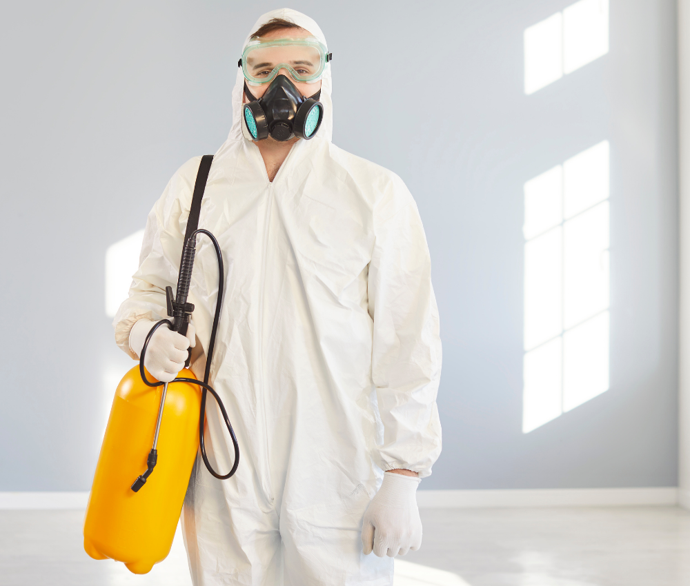 sub-service-image (8)